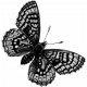 Butterfly Template 032