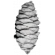 Pinecone Template 001