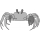 Crab Template